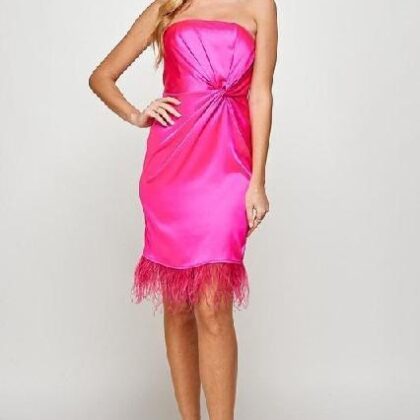 VESTIDO STRAPLE FUCSCHIA PLUMAS